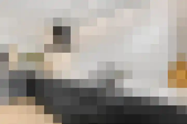 Leidijk 42 Bemmel thumbnail 18
