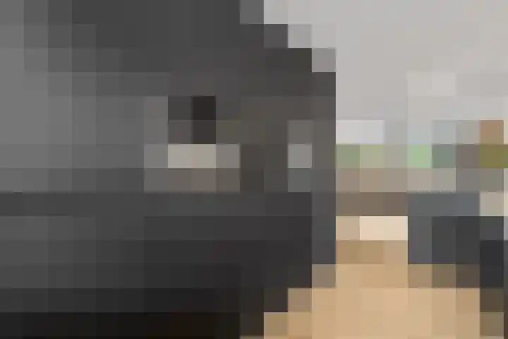 Leidijk 42 Bemmel thumbnail 19
