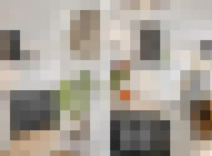 Leidijk 42 Bemmel thumbnail 22