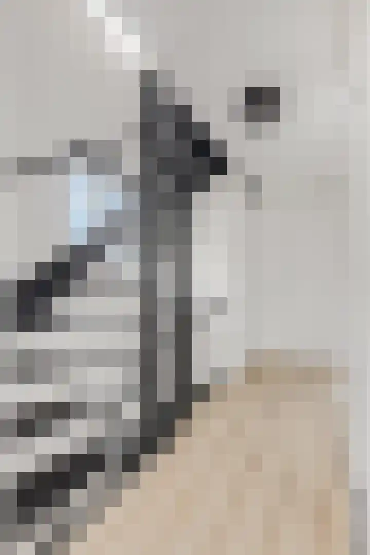 Leidijk 42 Bemmel thumbnail 25