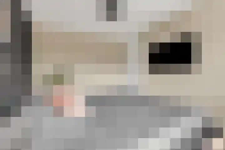 Leidijk 42 Bemmel thumbnail 27