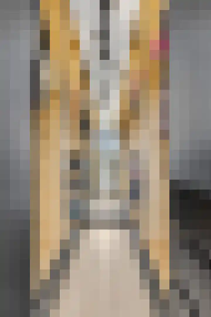 Leidijk 42 Bemmel thumbnail 30