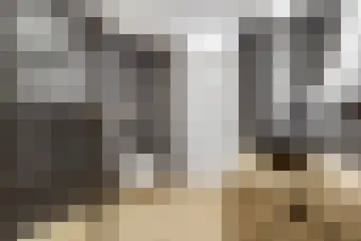 Leidijk 42 Bemmel thumbnail 33