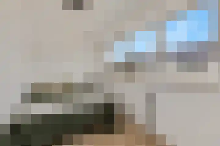 Leidijk 42 Bemmel thumbnail 34