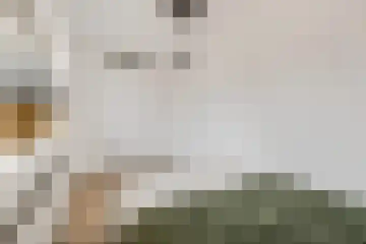 Leidijk 42 Bemmel thumbnail 35