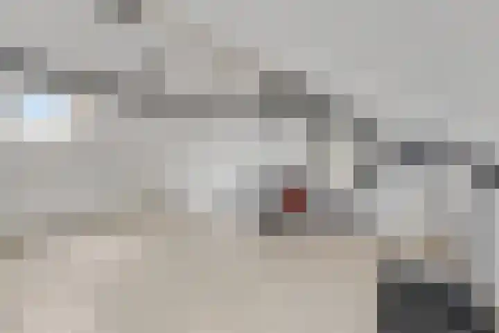 Leidijk 42 Bemmel thumbnail 36