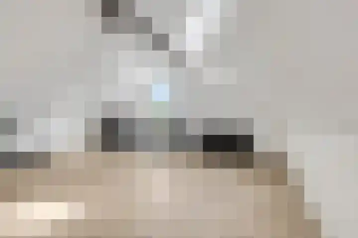 Leidijk 42 Bemmel thumbnail 38