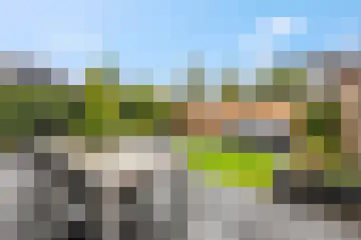 Leidijk 42 Bemmel thumbnail 41
