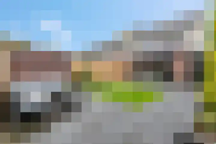 Leidijk 42 Bemmel thumbnail 43