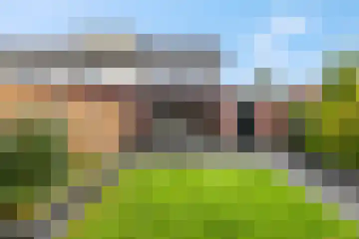 Leidijk 42 Bemmel thumbnail 44