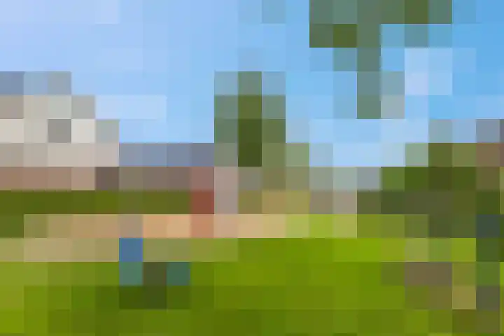 Leidijk 42 Bemmel thumbnail 48