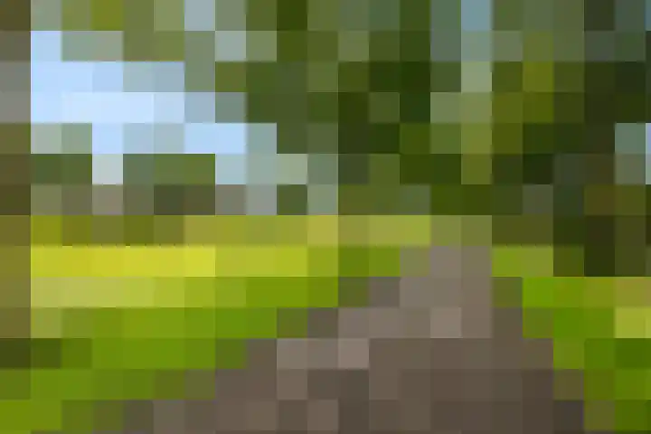Leidijk 42 Bemmel thumbnail 49