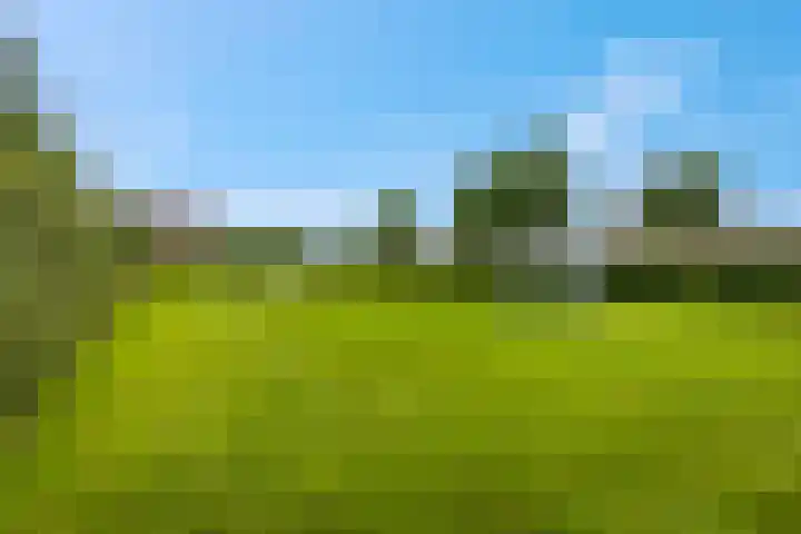 Leidijk 42 Bemmel thumbnail 50