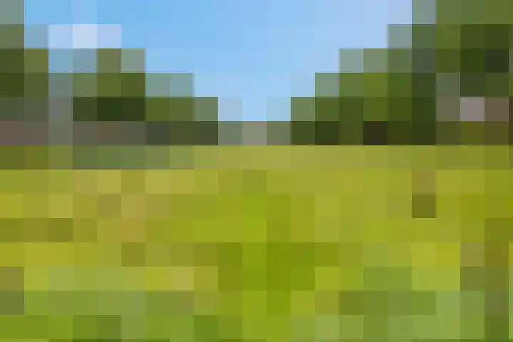 Leidijk 42 Bemmel thumbnail 51