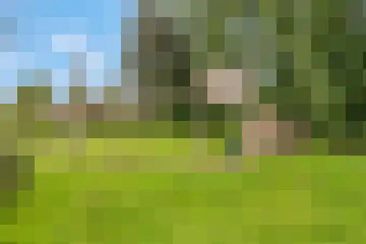 Leidijk 42 Bemmel thumbnail 52