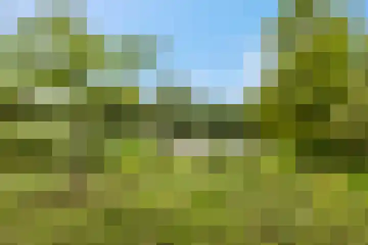 Leidijk 42 Bemmel thumbnail 53