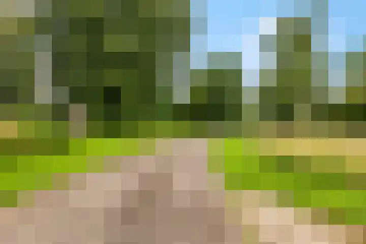 Leidijk 42 Bemmel thumbnail 54