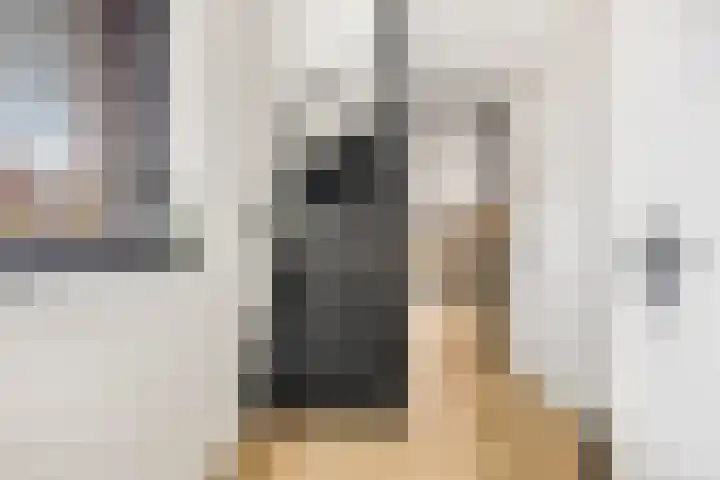 Leidijk 42 Bemmel thumbnail 6
