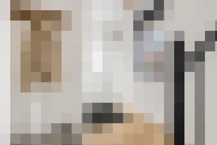 Leidijk 42 Bemmel thumbnail 7