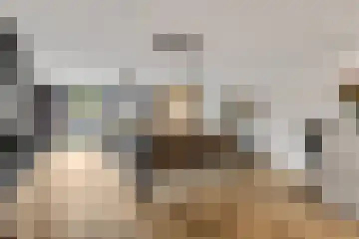 Leidijk 42 Bemmel thumbnail 8