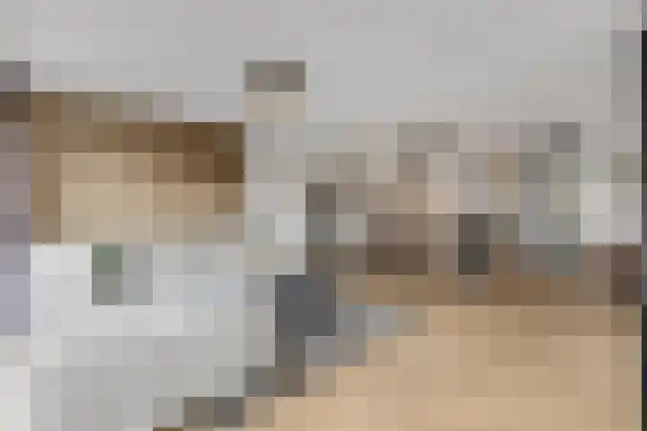 Leidijk 42 Bemmel thumbnail 9