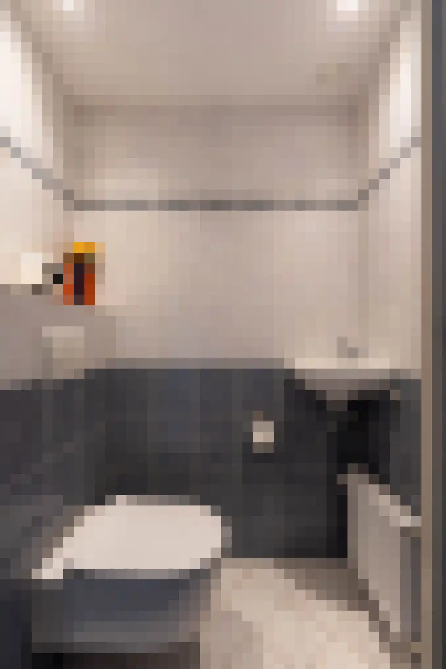 Leidijk 6 Bemmel thumbnail 10