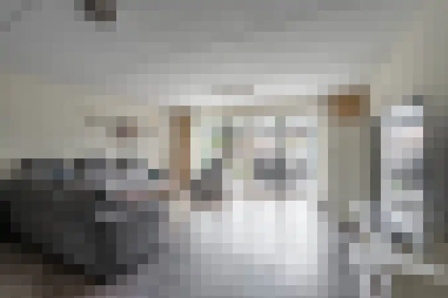 Leidijk 6 Bemmel thumbnail 11