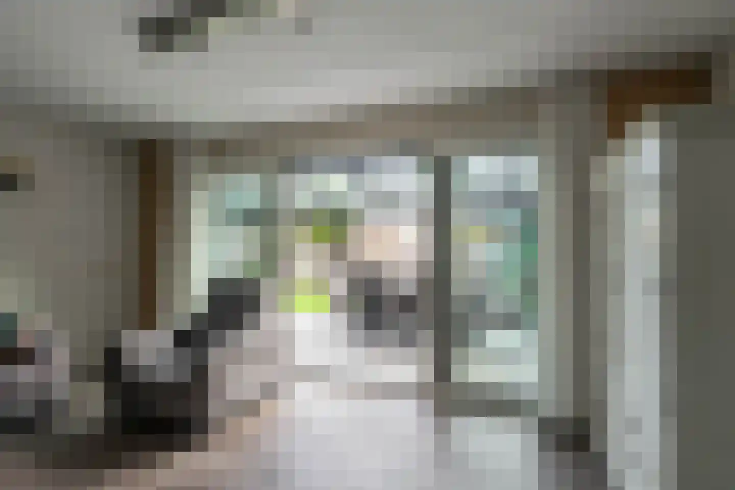 Leidijk 6 Bemmel thumbnail 12