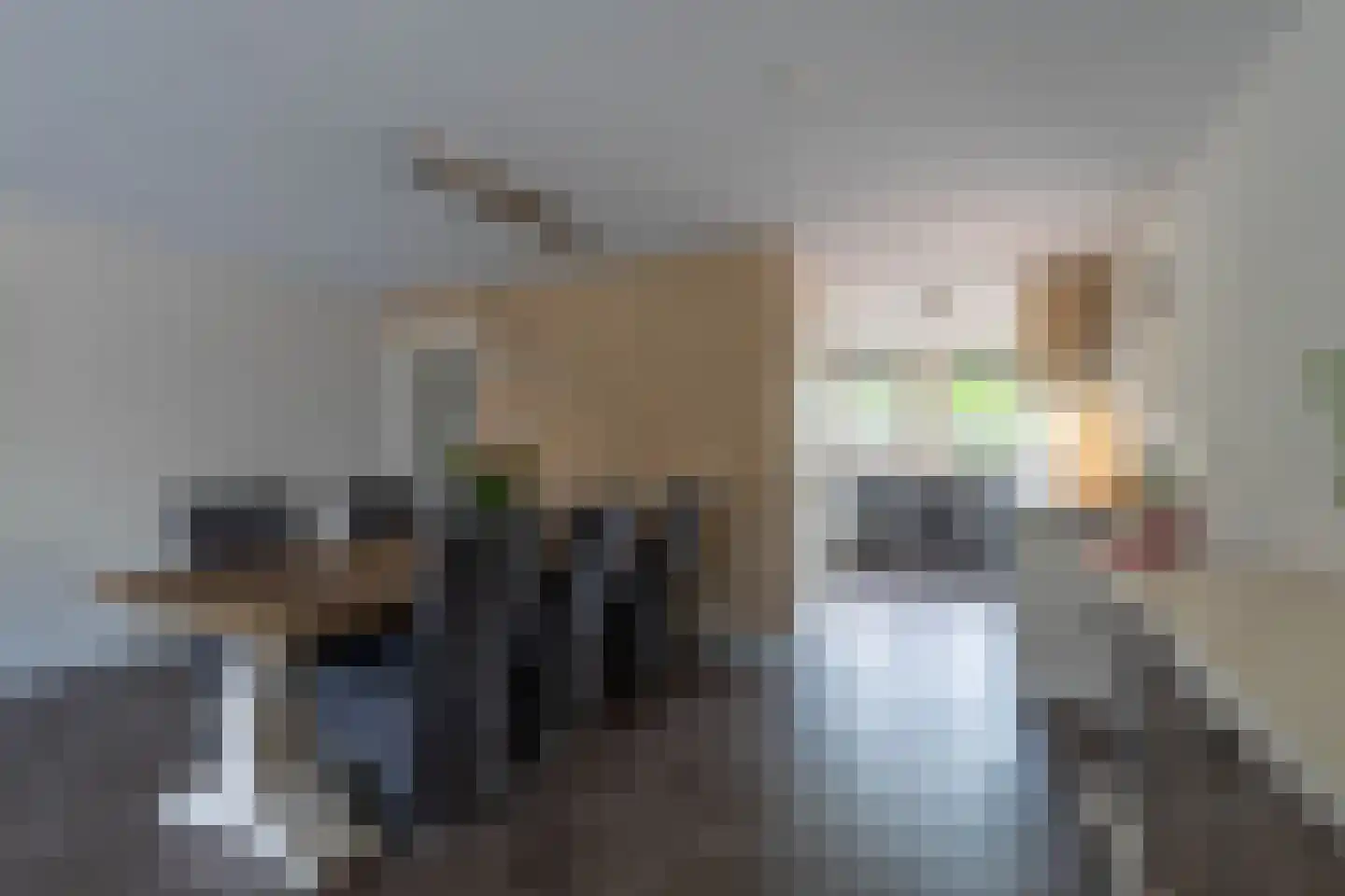 Leidijk 6 Bemmel thumbnail 15