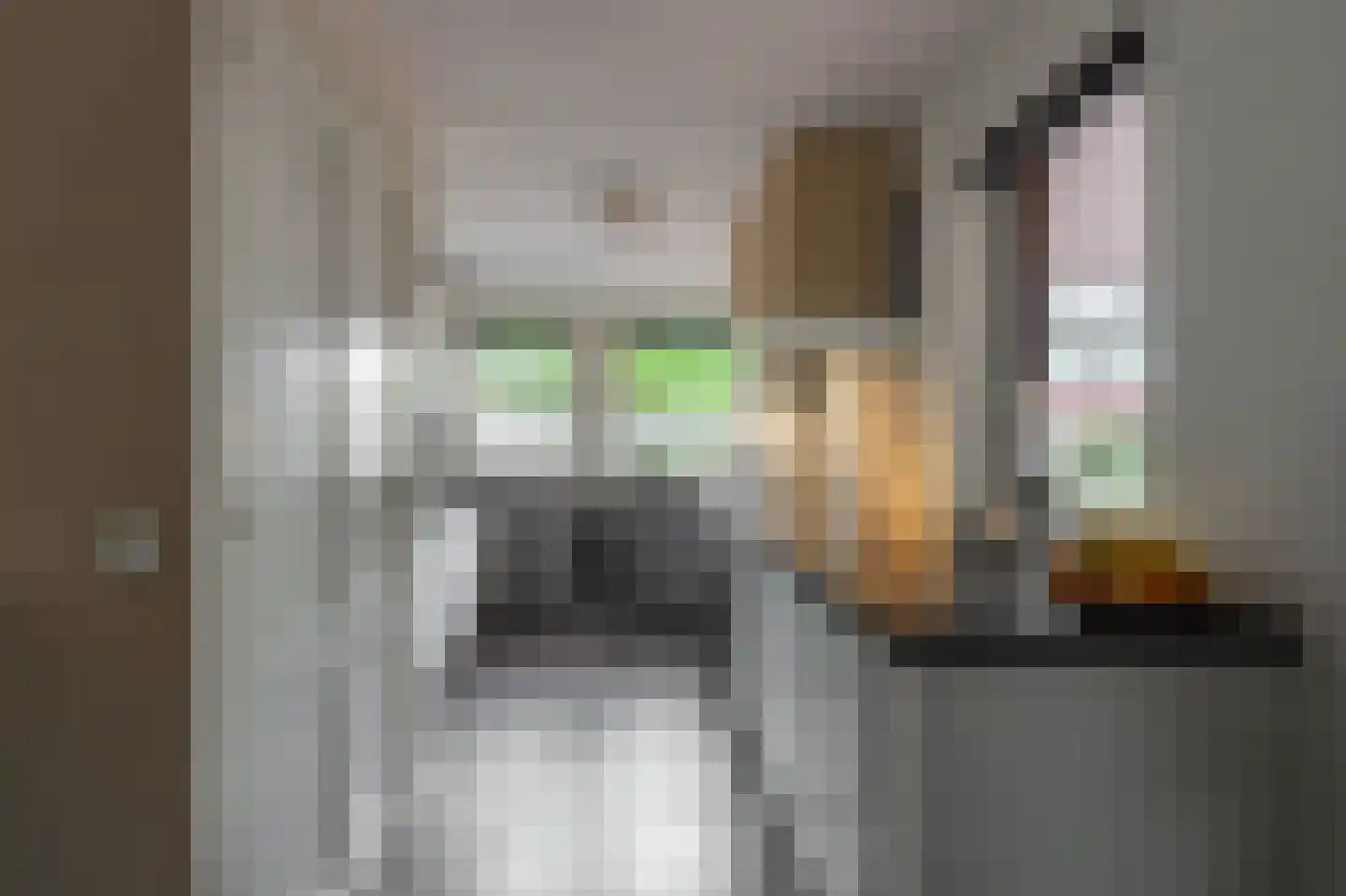 Leidijk 6 Bemmel thumbnail 17