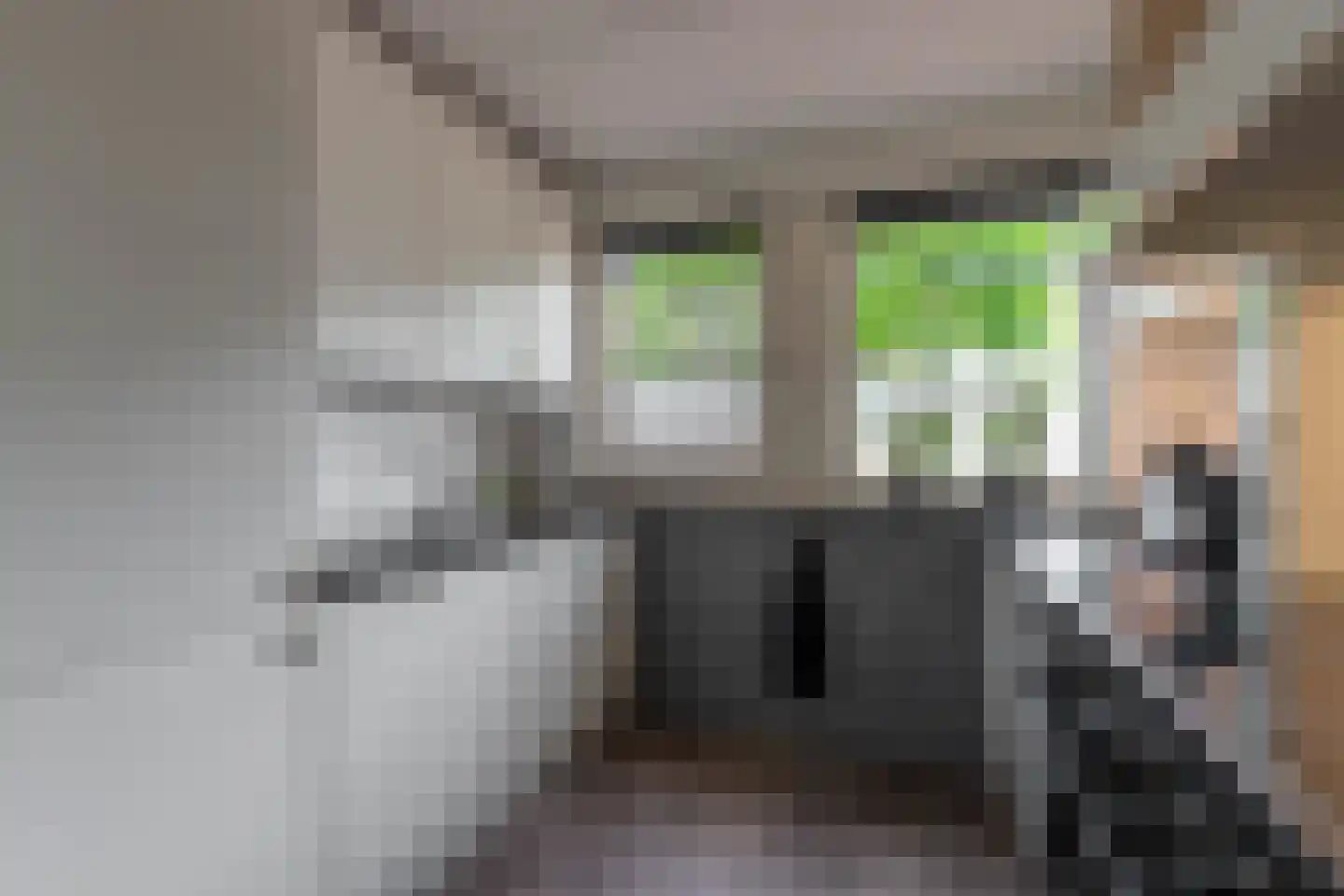 Leidijk 6 Bemmel thumbnail 18