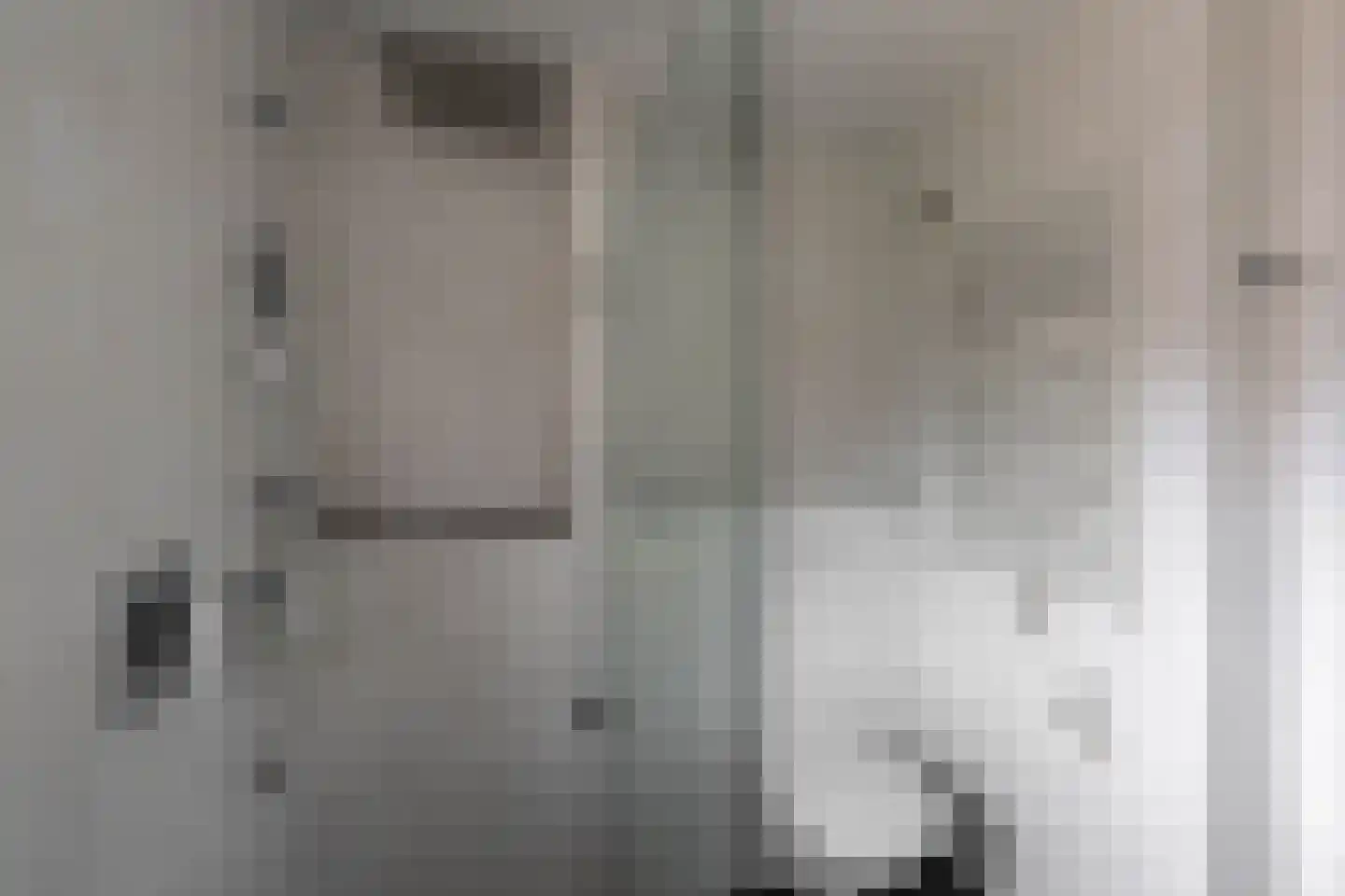 Leidijk 6 Bemmel thumbnail 28