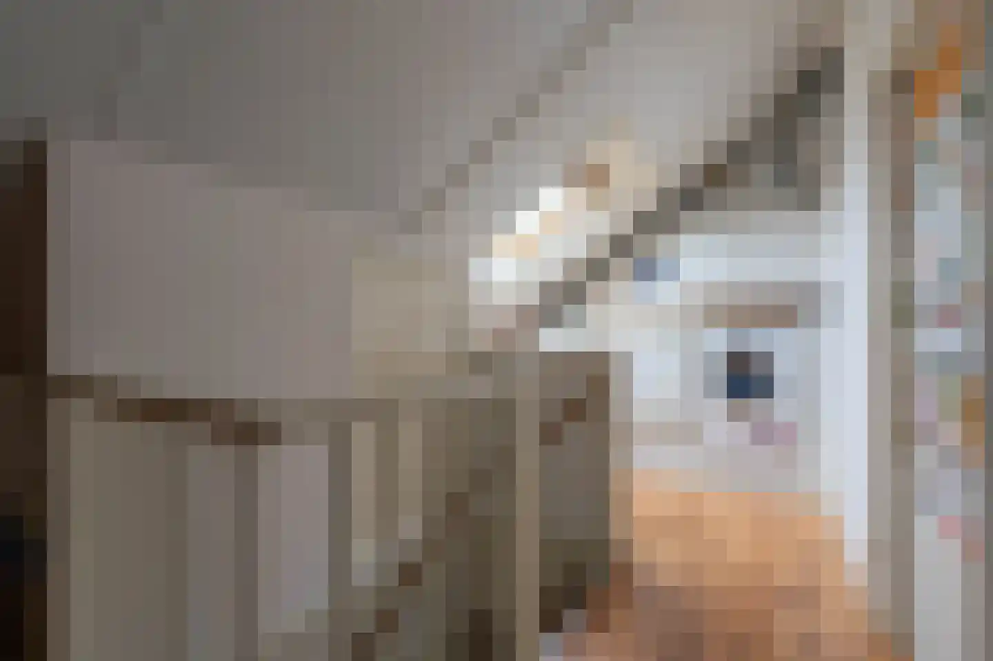 Leidijk 6 Bemmel thumbnail 31