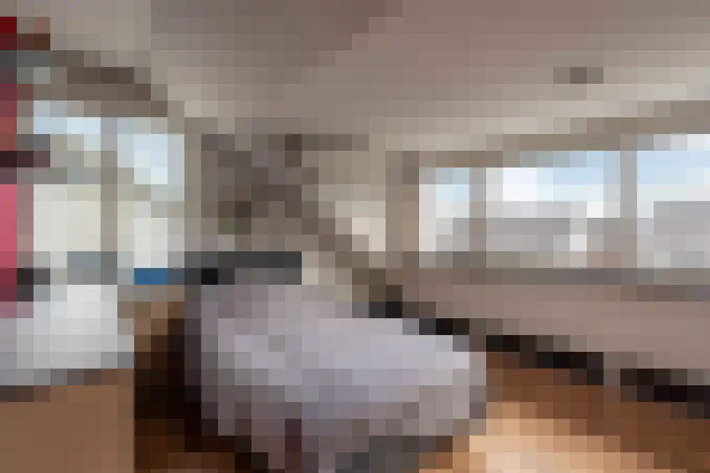 Leidijk 6 Bemmel thumbnail 33