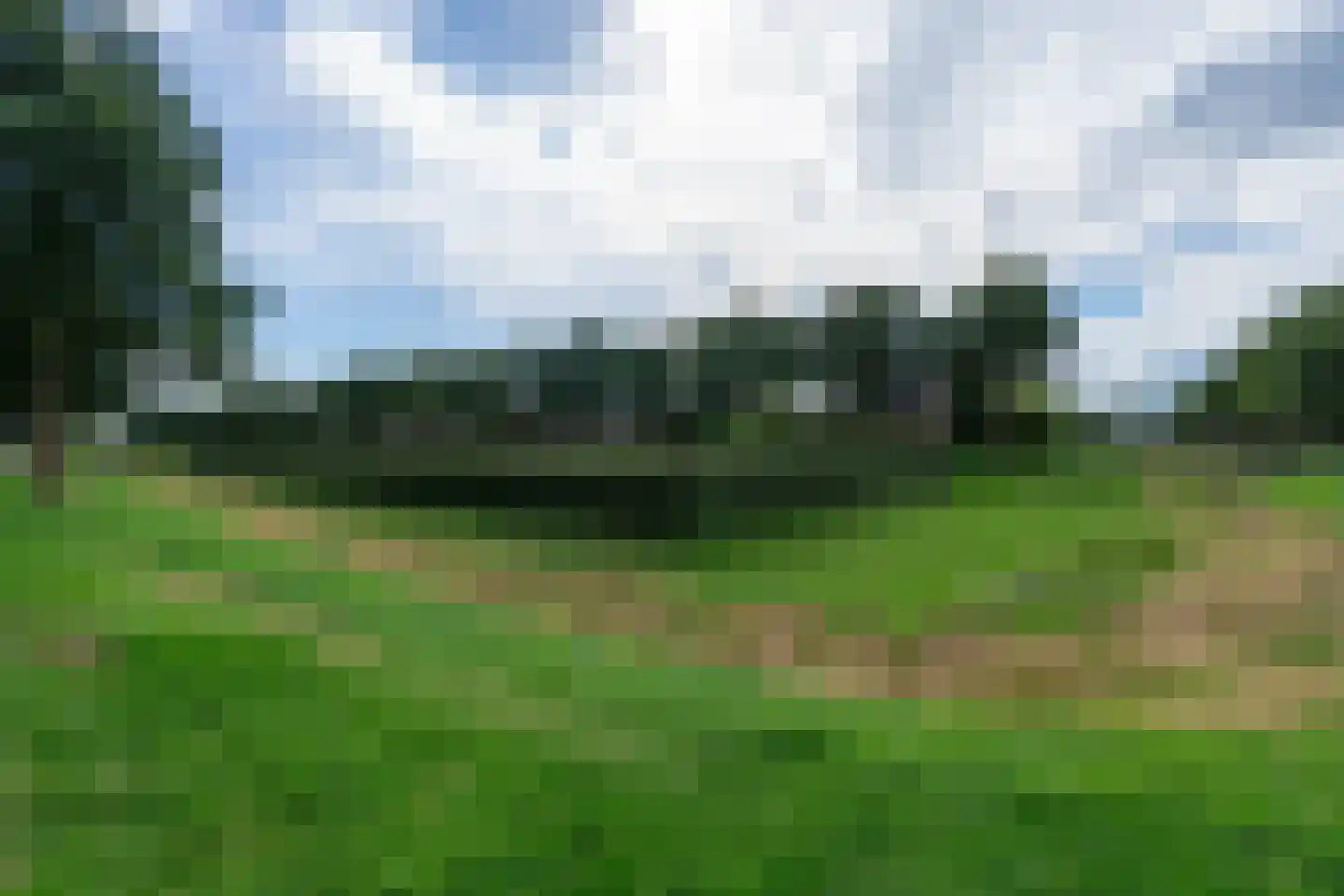 Leidijk 6 Bemmel thumbnail 46