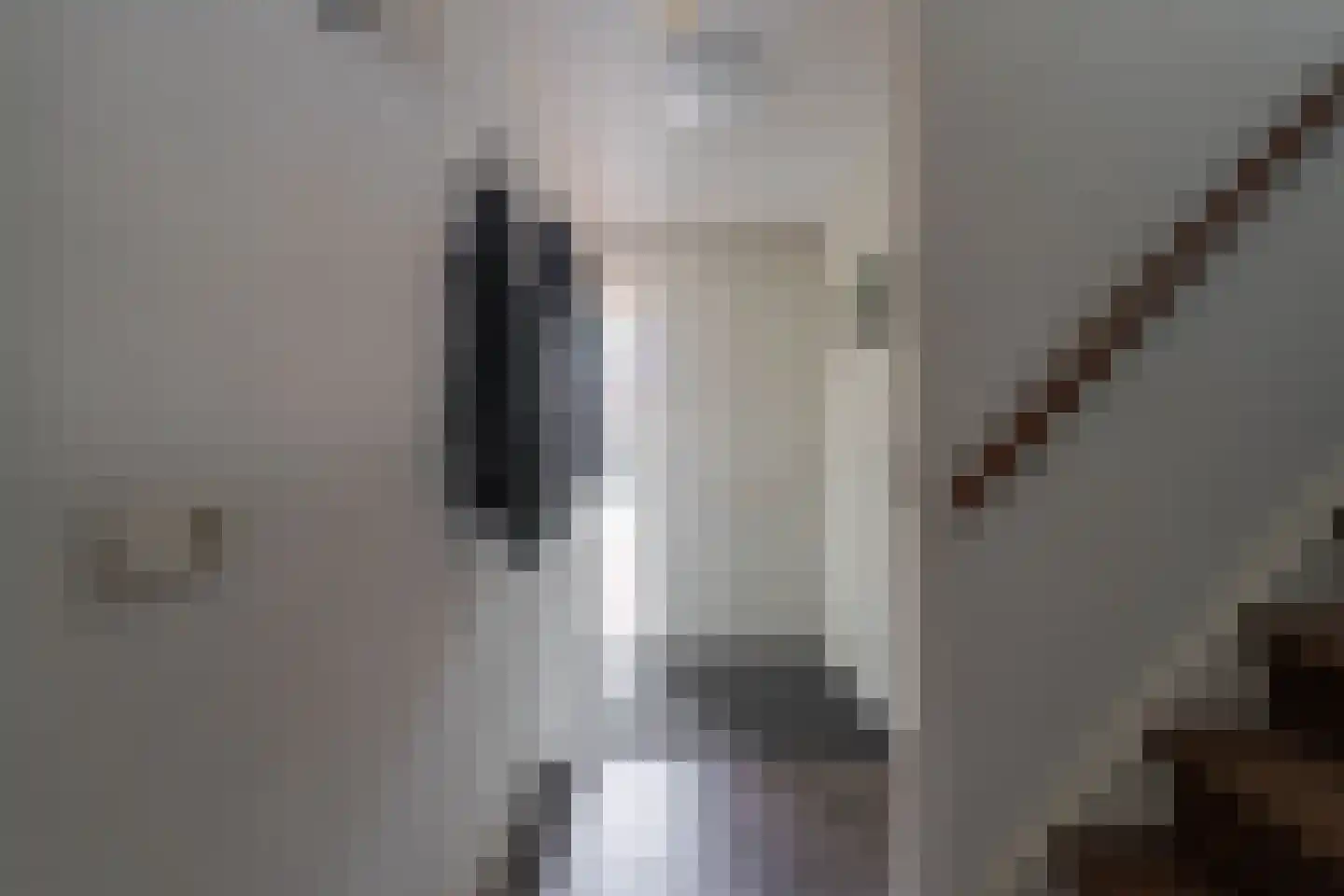 Leidijk 6 Bemmel thumbnail 9