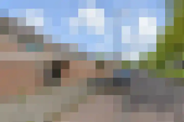 Leidijk 60 Drachten thumbnail 21