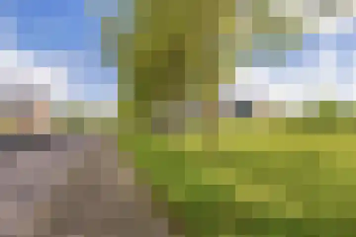 Leidijk 60 Drachten thumbnail 32