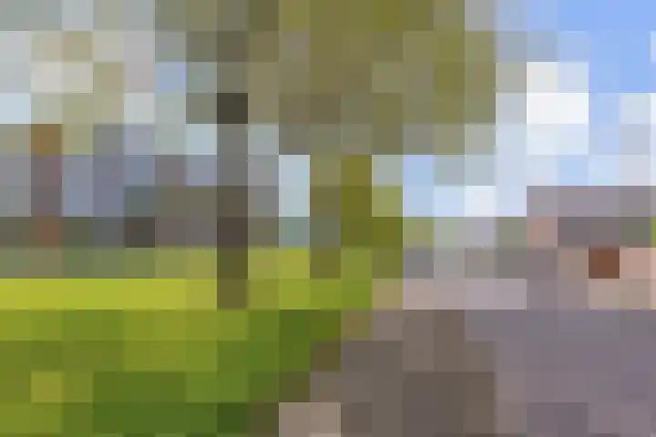 Leidijk 60 Drachten thumbnail 33