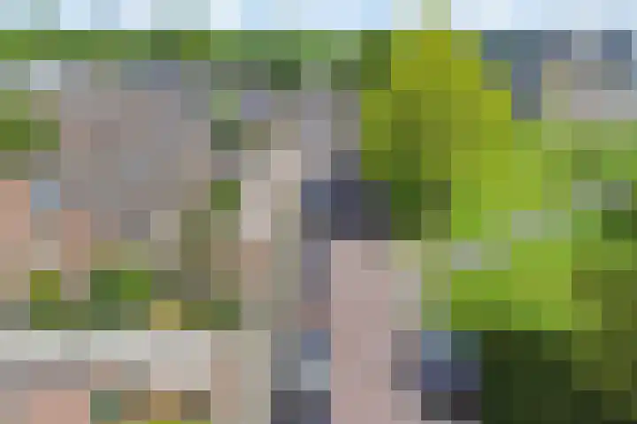 Leidijk 60 Drachten thumbnail 35