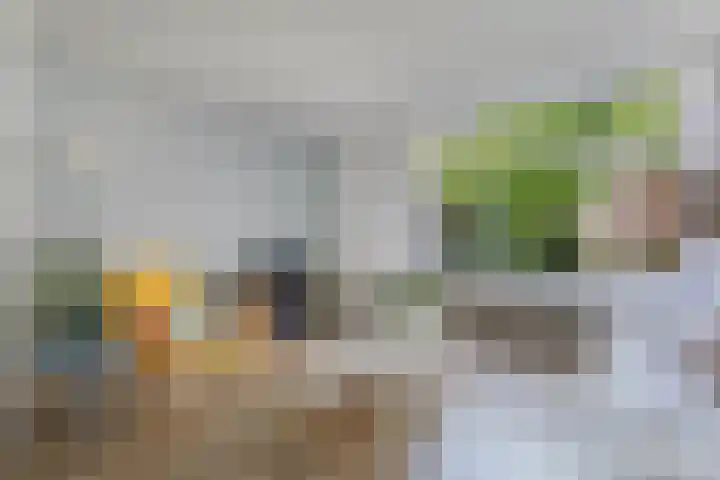 Leidijk 60 Drachten thumbnail 8