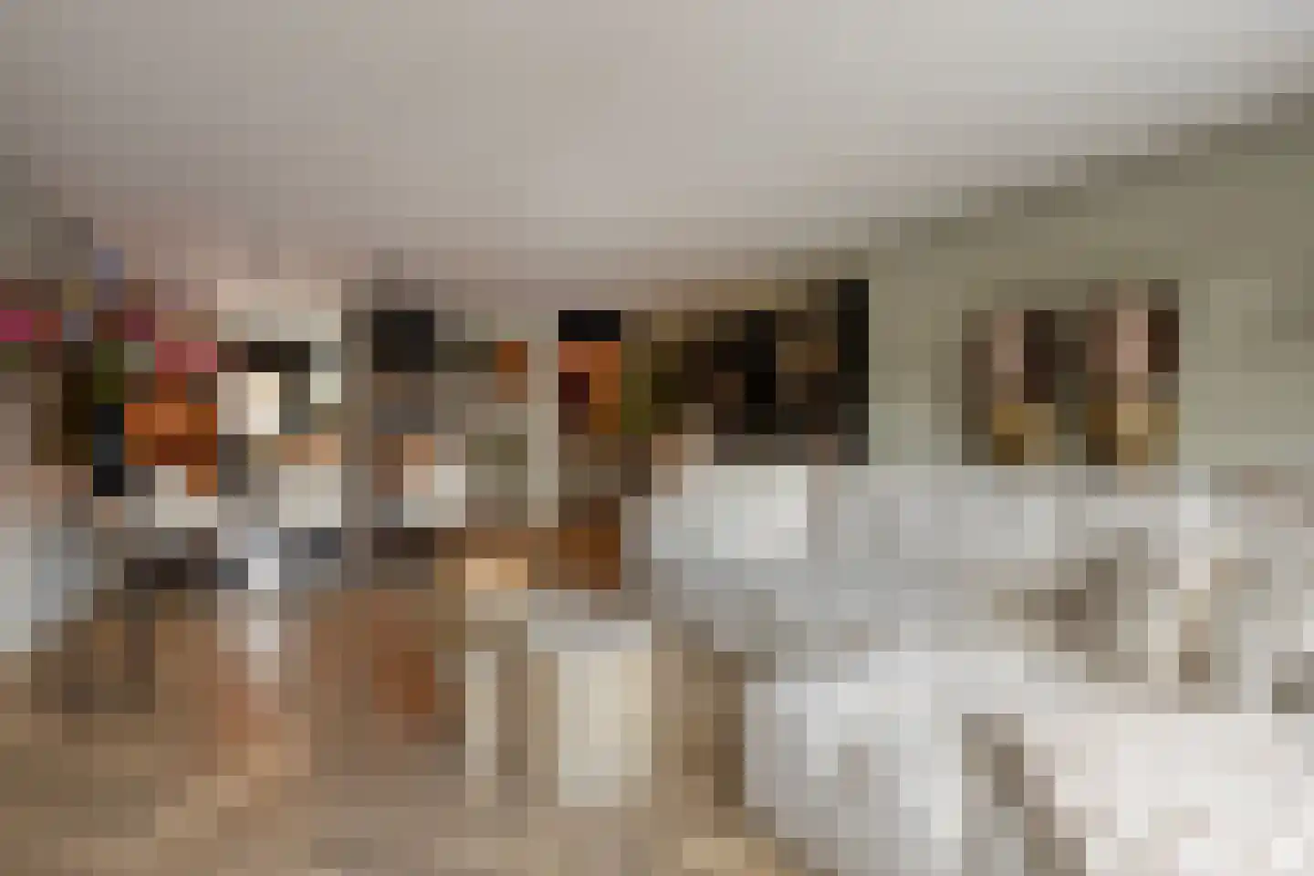 Leidijk 70 Bemmel thumbnail 11