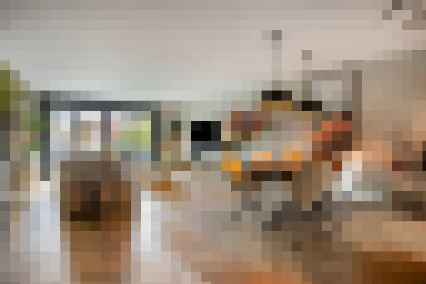 Leidijk 70 Bemmel thumbnail 14
