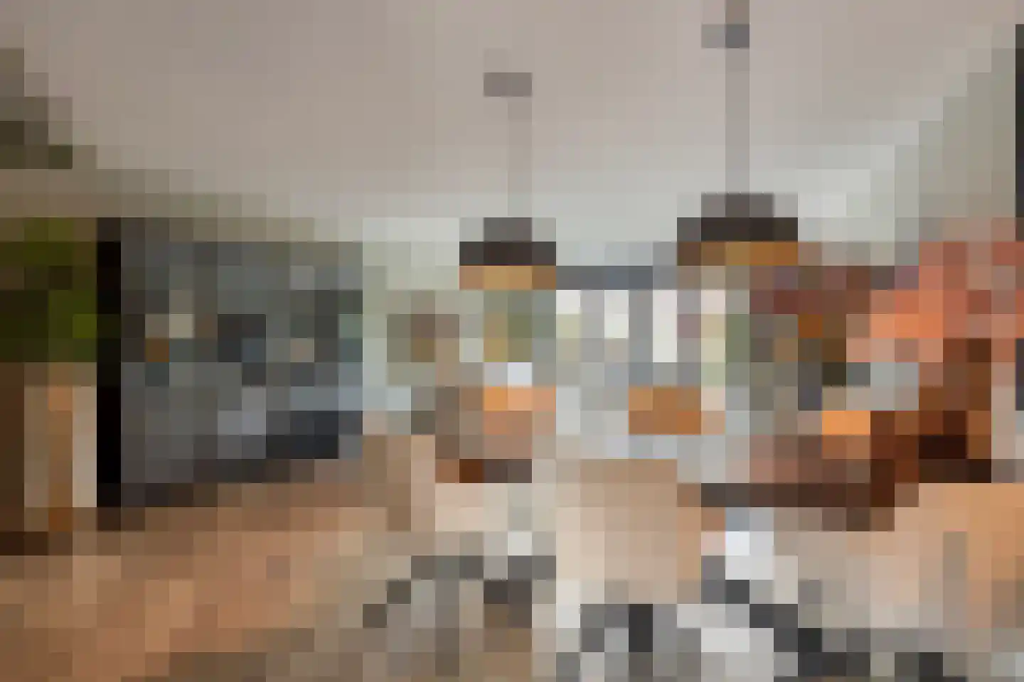 Leidijk 70 Bemmel thumbnail 15