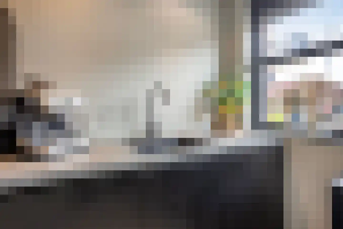 Leidijk 70 Bemmel thumbnail 18