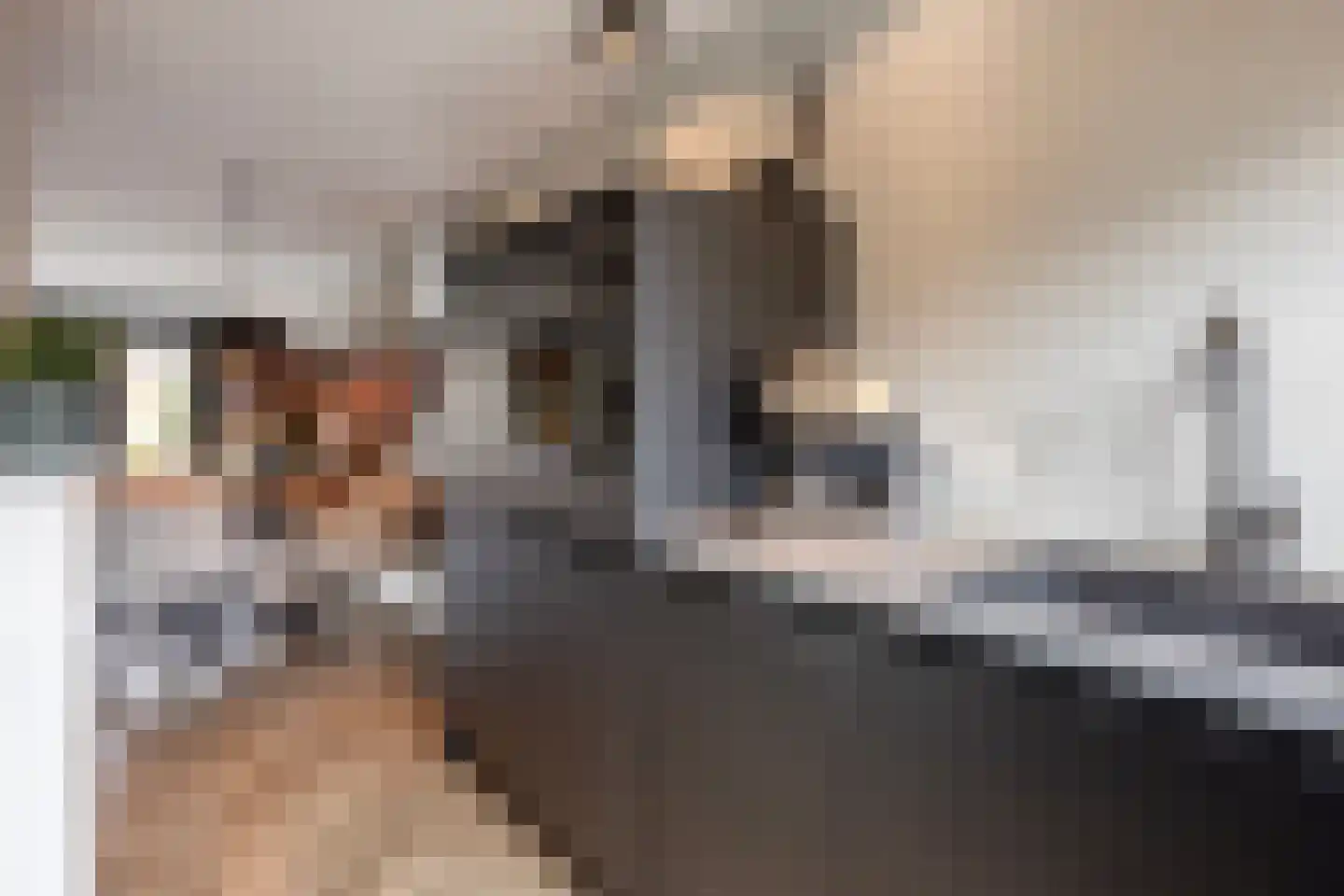 Leidijk 70 Bemmel thumbnail 19