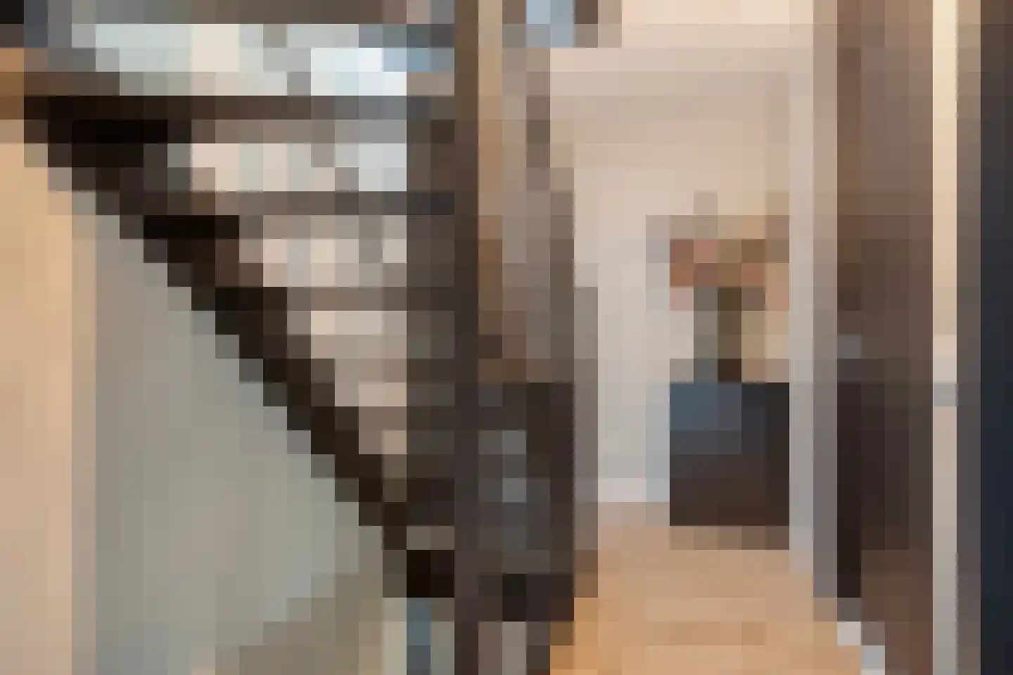 Leidijk 70 Bemmel thumbnail 20