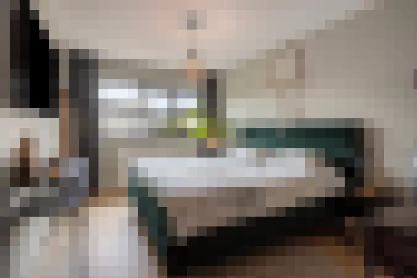 Leidijk 70 Bemmel thumbnail 21