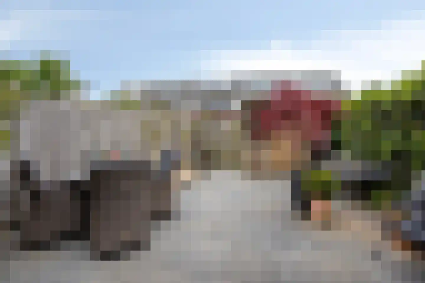 Leidijk 70 Bemmel thumbnail 29