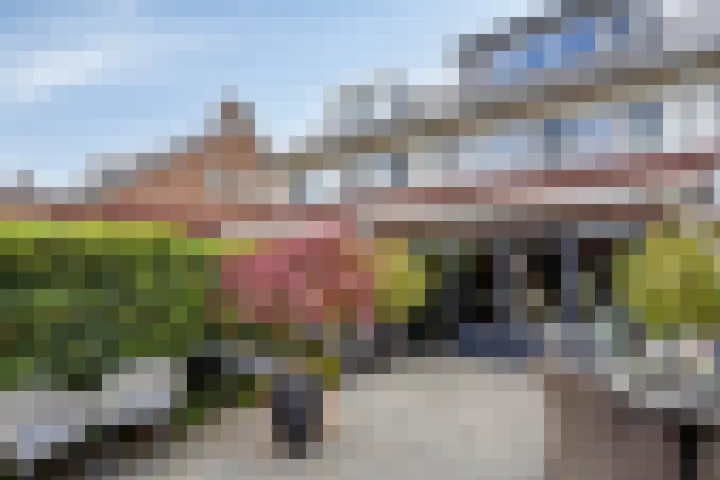 Leidijk 70 Bemmel thumbnail 30